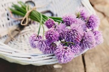 Fresh chives flower