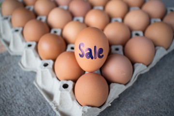 Eggs