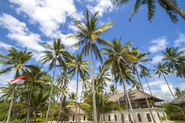 house under the palms