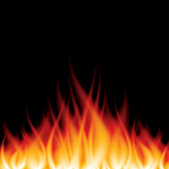 Burning fire on black vector illustration