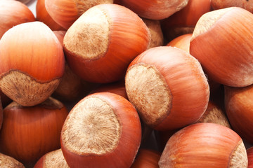Hazelnuts or filbert