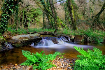 river landscape in long exposure