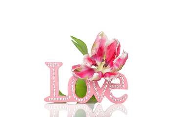 "Love" word and tulips