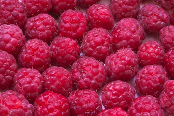 raspberry  berry macro