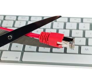 network cable of a computer
