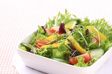 野菜サラダ