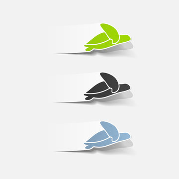realistic design element: sea ??turtle