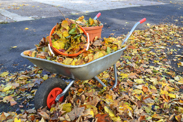 Schubkarre voller Herbstlaub