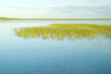 Fototapeta na wymiar on the edge of the lake.