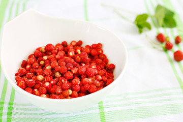 Fresh ripe wild strawberries in white bowl as healthy food