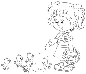 girl feeds a brood of small chickens