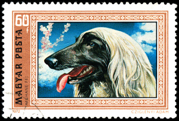 HUNGARY - CIRCA 1972: Postage stamp printed in Hungary showing G