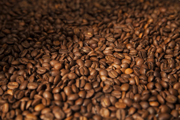 Coffee beans background