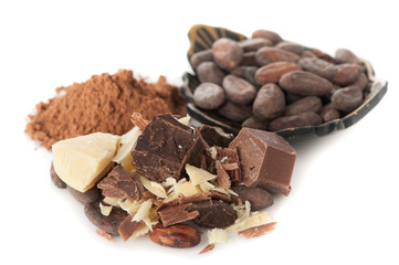 Cocoa oil , cocoa beans, cocoa powder and dark chocolate