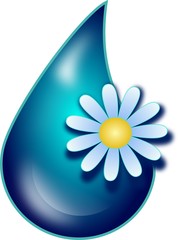 Water drop with flower