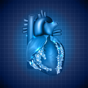 Human heart medical illustration, abstract blue design
