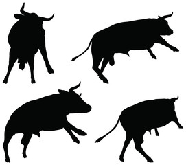 cattle collection - vector silhouette