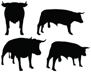 cattle collection - vector silhouette