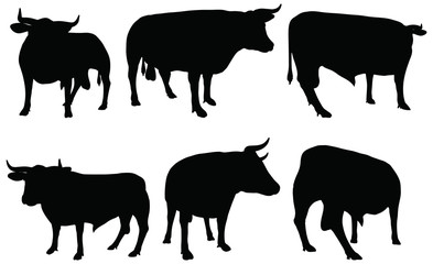 cattle collection - vector silhouette