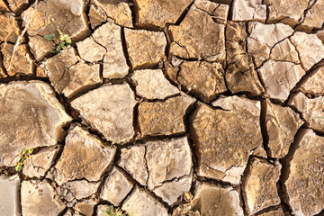 crack ground