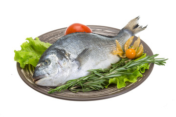 Raw dorado with herbs