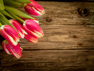 Wood background with fresh red tulip decoration