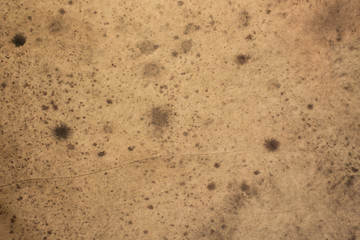Brown paper texture