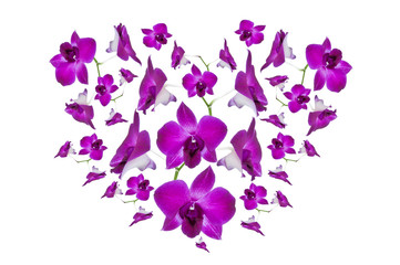 Purple orchid heart