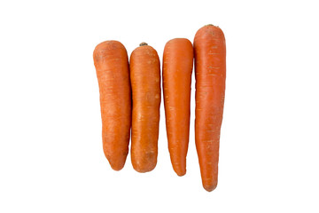carrot