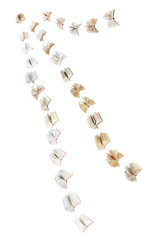 flock of flying books isolated on white