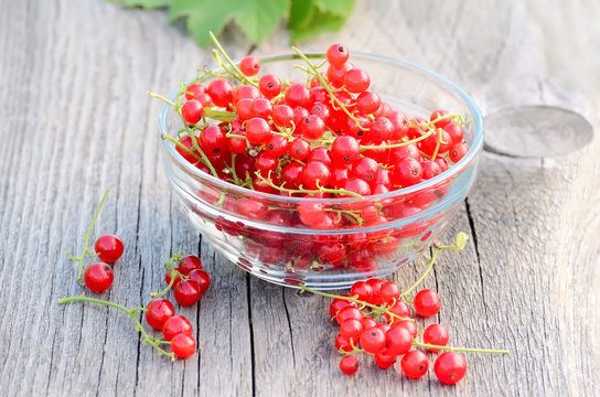 Red currants in glass bowl