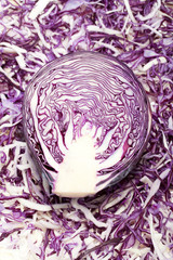 Obraz premium White and Red Cabbage