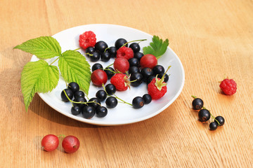 Garden berries