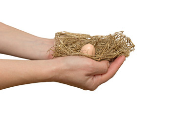 nest in the hands of