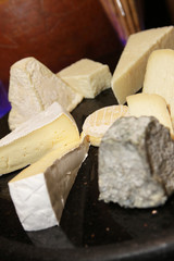 Fototapeta premium assorted cheese