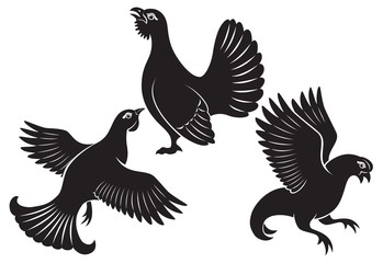 blackcock