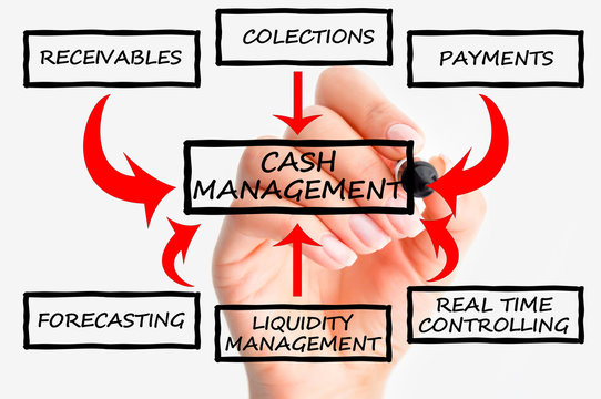 Cash Flow Management System