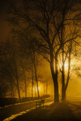 Fototapeta na wymiar Foggy night in park