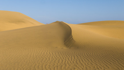 Fototapeta na wymiar Die gigantischen Sanddünnen in Maspalomas