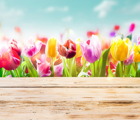 Colourful tulips with rustic wooden boards