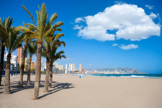 Benidorm Alicante beach palm trees and Mediterranean