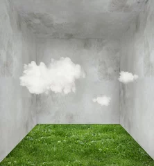 Foto op Plexiglas Surrealisme Wolken en gras in een kamer
