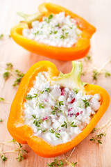 Gefüllte Paprika mit körnigen Frischkäse