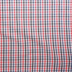 Background checkered picnic blanket.