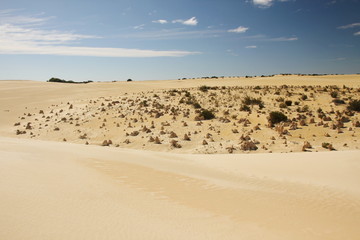 Australian desert