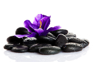 Obraz na płótnie Canvas Zen kamienie. Kamień spa