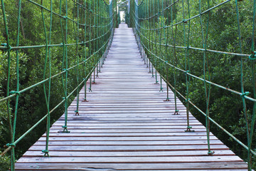 Fototapeta premium wood and rope bridge,take a look Nature