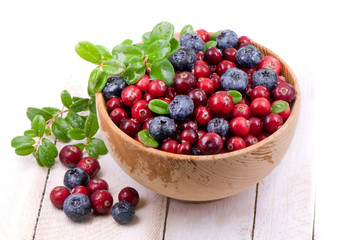 Blueberry and cowberry