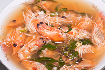 shrimp soup