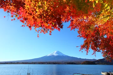 Foto op Canvas Mount Fuji in de herfst © leungchopan